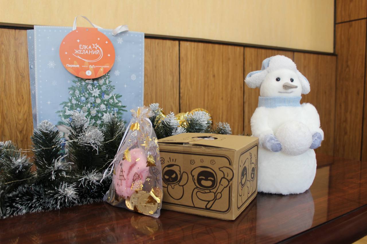 Совместно с Содружеством выпускников детских домов «Дети всей страны», фондом СТАТ.АП и Центральным офицерским клубом Воздушно-космических сил, команда Росстата и его территориальных органов приняли участие в акциях «Ёлка... Совместно с Содружеством выпускников детских домов «Дети всей страны», фондом СТАТ.АП и Центральным офицерским клубом Воздушно-космических сил, команда Росстата и его территориальных органов приняли участие в акциях «Ёлка...