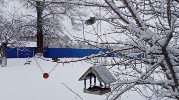 Жителей Луганской Народной Республики приглашают к участию в четырнадцатом интернет-конкурсе кормушек