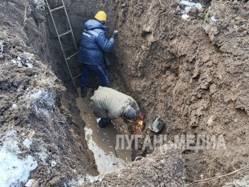 � ��������� ���������� ������ �� ���������� ������� �� ����� �������������