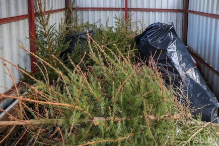 ������ ��������: ��������� ���������!. � ����� � ���������� ���������� ����������, ��������� ���� � �������� ���������� ����������� ���������� ����