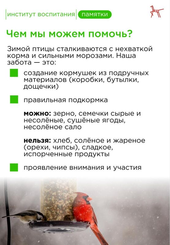 Сегодня особенный день, который напоминает нам о милосердии и заботе даже в самую холодную пору Сегодня особенный день, который напоминает нам о милосердии и заботе даже в самую холодную пору
