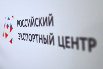 РЭЦ запустил 4 новых сервиса на платформе «Мой экспорт»!