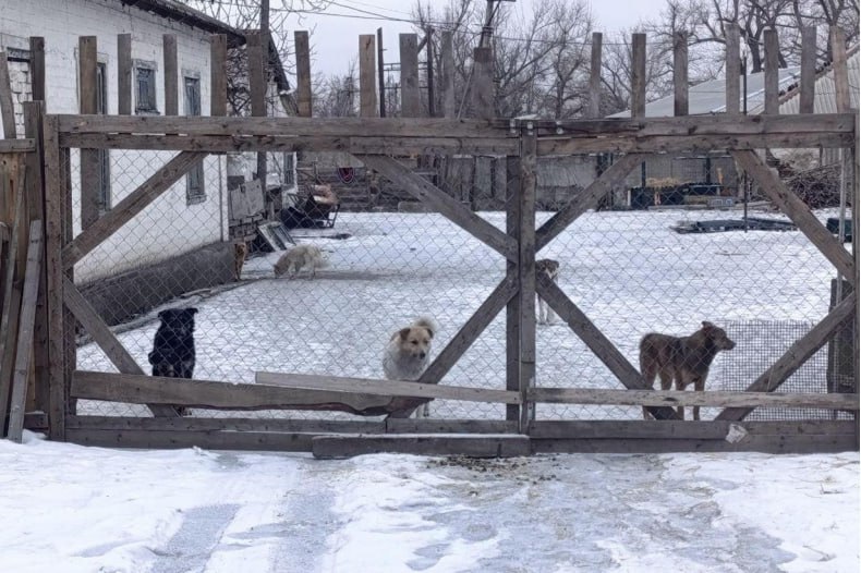 Педагоги из Свердловска приняли участие в акции «Первые с заботой» Педагоги из Свердловска приняли участие в акции «Первые с заботой»