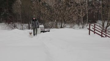 Уважаемые жители Старобельского муниципального округа!