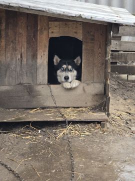 16 ������ �� ���������� ��������� �������� ���������� ����� ������� � ������������