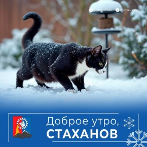 ������ ����, ������� �����!