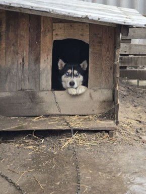 16 ������ �� ���������� ��������� �������� ���������� ����� ������� � ������������