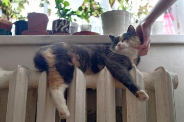 Отопление подорожало: В ЛНР утвердили тарифы на теплоснабжение в 2026 году