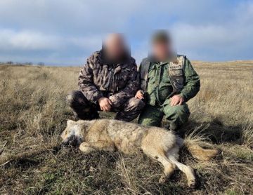 ������� �������: ������������ ������ �� ������������� ����������� ����� � ������ �������� � ����������� ������������� ������