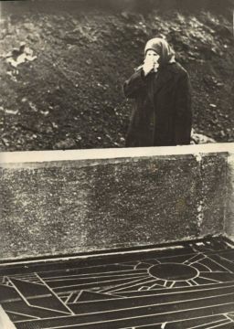 ��������� ���: �������� ����:. ������ ���� ���