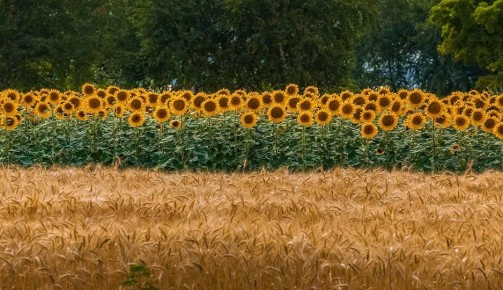 ������������ ��������. ��� ���� ���������� ��������� �������� ��������� �� ������������� ���������� �� ���������� � ��������� ������������� ����