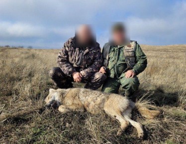 ������� �������: ������������ ������ �� ������������� ����������� ����� � ������ �������� � ����������� ������������� ������