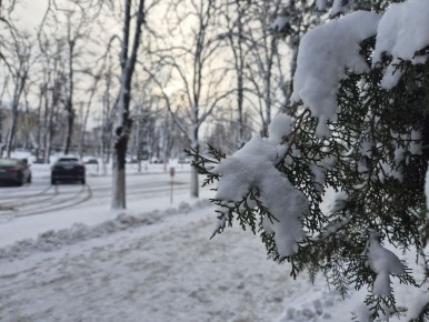 16. ������ ����, �������! ������ � ����� ����� �����, ����� ����, ����� �����