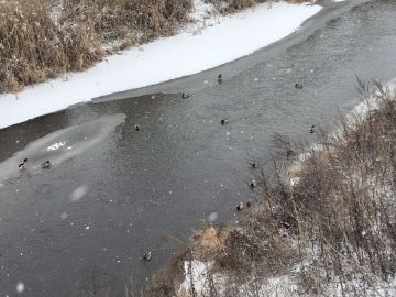 � �������� ����������� ����