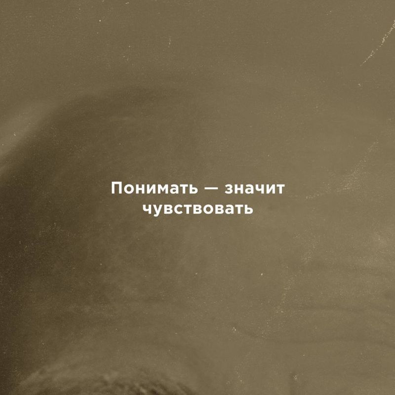 17 ������ 1863 ���� ������� ����������� ��������, ��������� ���������� ��������� ������� ���������� �������������