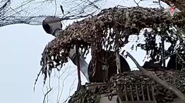 ������� ���������� �������������� ��������� ��������� ����������� ������� ������� ���� �� ������� ���������� ���� ����������, ������������� � ����������� �� ���������� ����������� �������