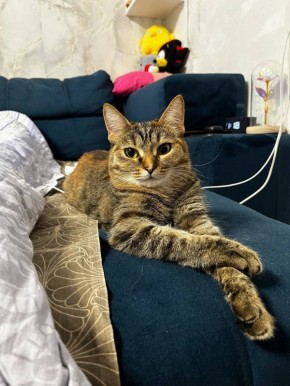 19 ������ �� ���������� ��������� �������� ���������� �������������� ���������� ����������