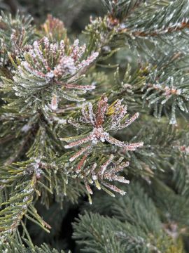 � ������ �����, ������ ����������� �������������� ������ !