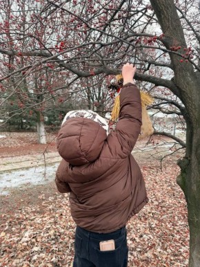 � ������ ���������� ��������� ���������� �������� � �������������� ����� ��. �.�. ���������� ������ ������� ��������� ������