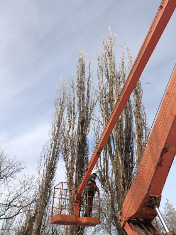 ������ ����� ������������ ����� �������