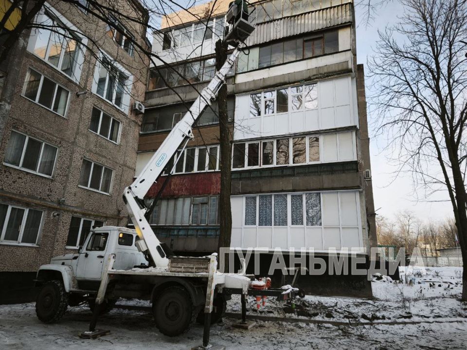 В Антраците проведена работа по спилу и обрезке деревьев В Антраците проведена работа по спилу и обрезке деревьев