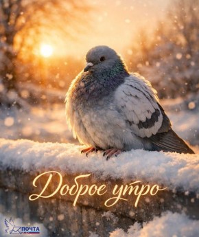 ������ ����, ����� ������ ���� �������� � ����, �������� ���������� � �������� ��������