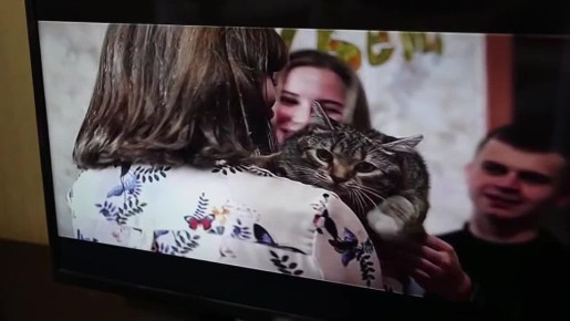 �������� ���������� - ���� �� ����� ����������� �������� ����������� ������ � ���������