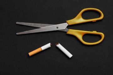 ������� �� ����� ������� ����� ������� ���� ���������