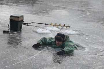 ������� ������������ �� ����