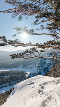 ��������� �����. ������������ ���� ������� � ��� �!� � MAX