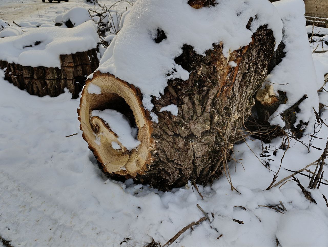 Сергей Крамаренко: С целью предупреждения возможных негативных последствий и причинения вреда жизни, здоровью граждан и их имуществу работниками МУП «Монолит» проводились работы по удалению и обрезке аварийных деревьев на...