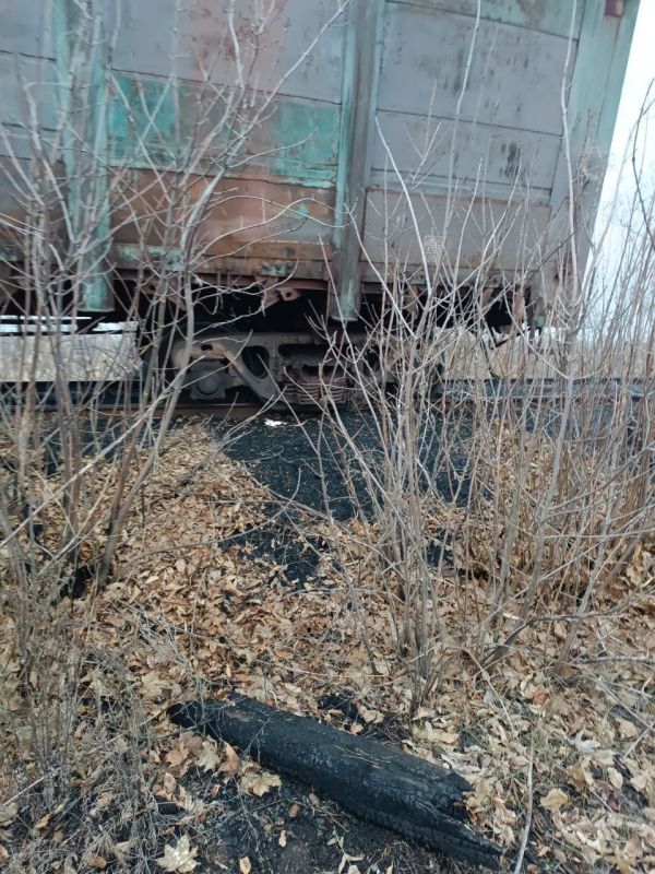 � ��������� �������� ���������� ������� �������� ����������� �� ��������� ������ ������������ ���������������� ����������