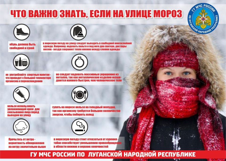 Народные советы безопасности