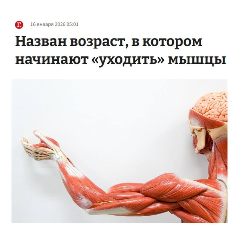 Мышцы начинают «сдуваться» с 36 лет, — учёные