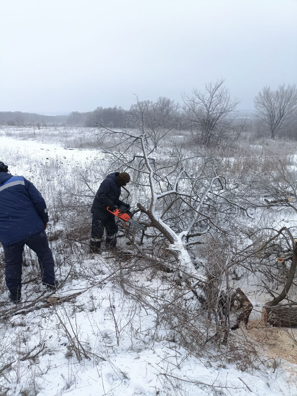 Работы по вывозу мусора с территории площадок ТКО и благоустройству продолжаются Работы по вывозу мусора с территории площадок ТКО и благоустройству продолжаются