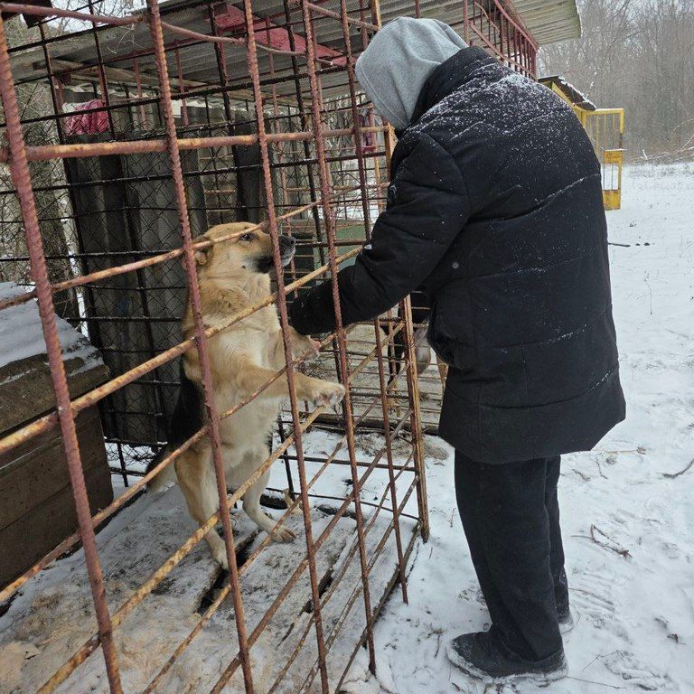 � ��������� ������ ����������������� ����� � ��������� ������ ��� ��������