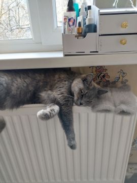 23 ������ ���������� ��������� �������� ���������� ����� ������� � ������������