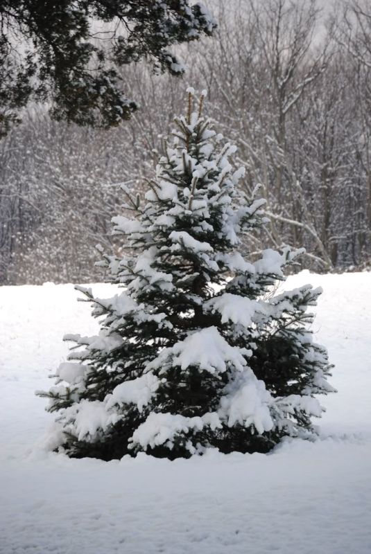 Доброе утро! Четверг, 22 января Доброе утро! Четверг, 22 января