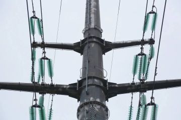 ������������ ����������� ��������������� �������������� ���������� ����������� � ���