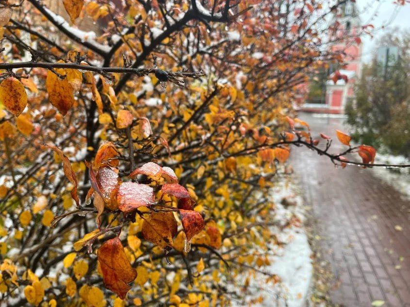 Доброе утро! Четверг, 22 января