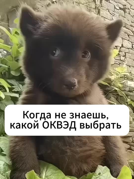 ���� ���� �������� ������� ���������� ����� �����, �� ���� ������ ����� ������ ��������� � ���� ������ ��������� ������ �������