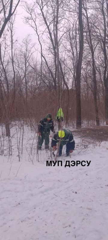 Работники МУП "ДЭРСУ" ежедневно трудятся, чтобы город оставался чистым, безопасным и уютным Работники МУП "ДЭРСУ" ежедневно трудятся, чтобы город оставался чистым, безопасным и уютным