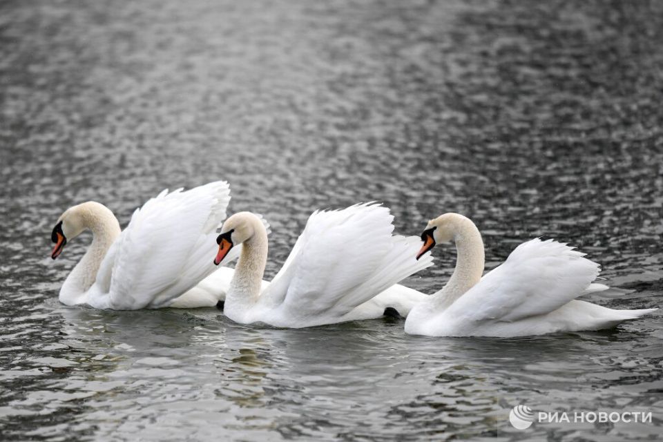 Погода на новых территориях России