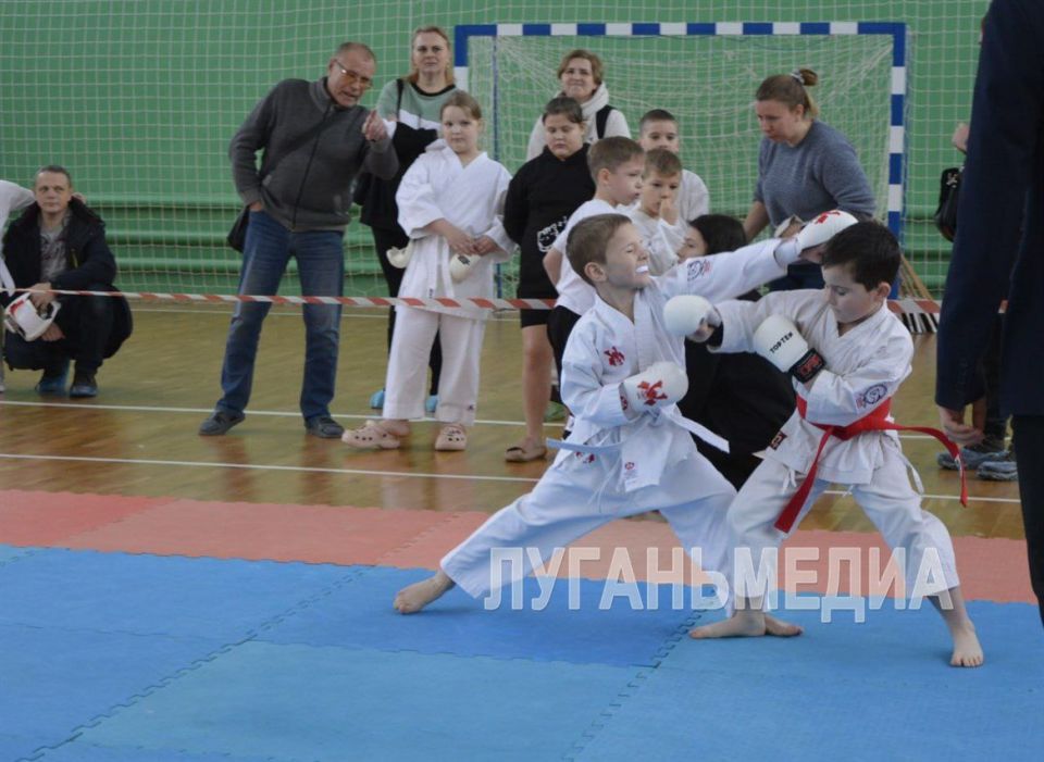 Новоайдарские спортсмены завоевали 25 медалей на чемпионате и первенстве по всестилевому карате Новоайдарские спортсмены завоевали 25 медалей на чемпионате и первенстве по всестилевому карате