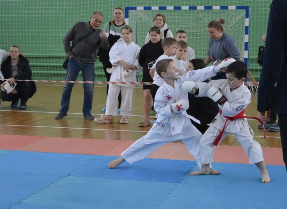 Чемпионат и Первенство по всестилевому каратэ в Лутугино: успехи спортсменов из Рубежного Чемпионат и Первенство по всестилевому каратэ в Лутугино: успехи спортсменов из Рубежного