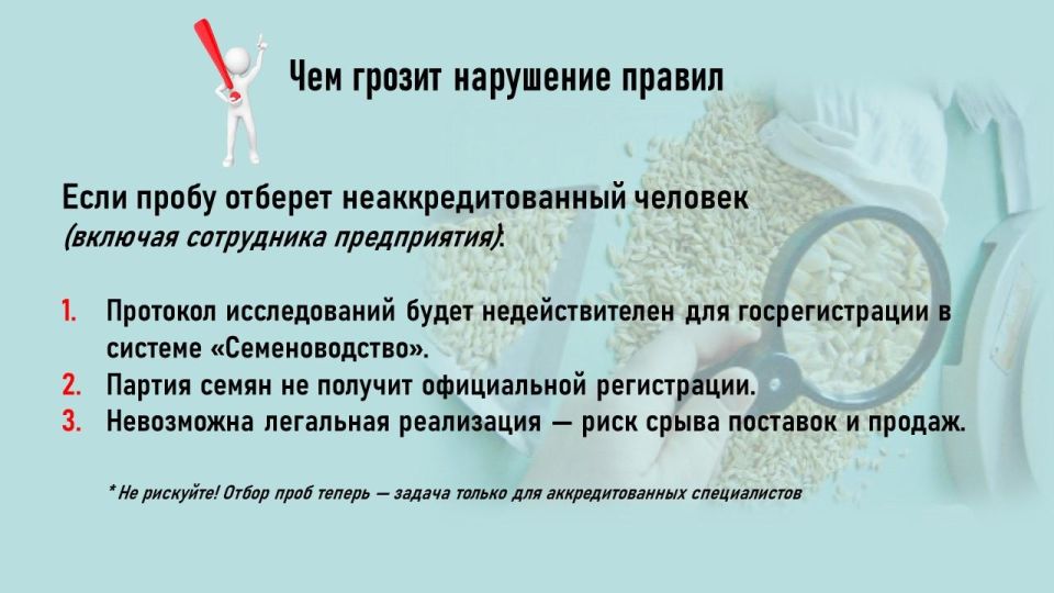 Вниманию сельхозпроизводителей и поставщиков семян республики Вниманию сельхозпроизводителей и поставщиков семян республики