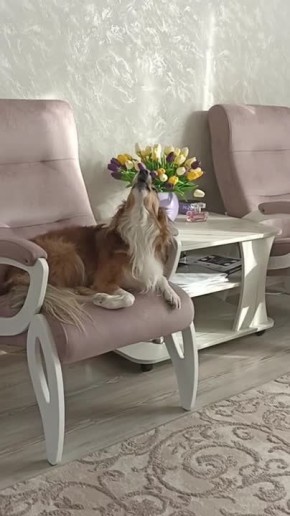 Дмитрий Зименкин: Трогательно! "Луганка" и певец Сергей Нихаенко вместе поют о своих фронтовых буднях!