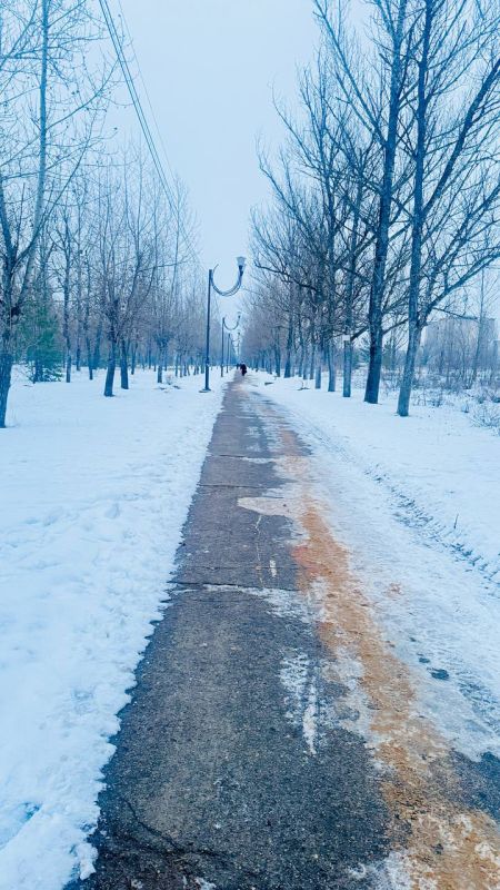 Для безопасности жителей города в условиях гололёда МУП "ДЭП" посыпал автобусные остановки Для безопасности жителей города в условиях гололёда МУП "ДЭП" посыпал автобусные остановки