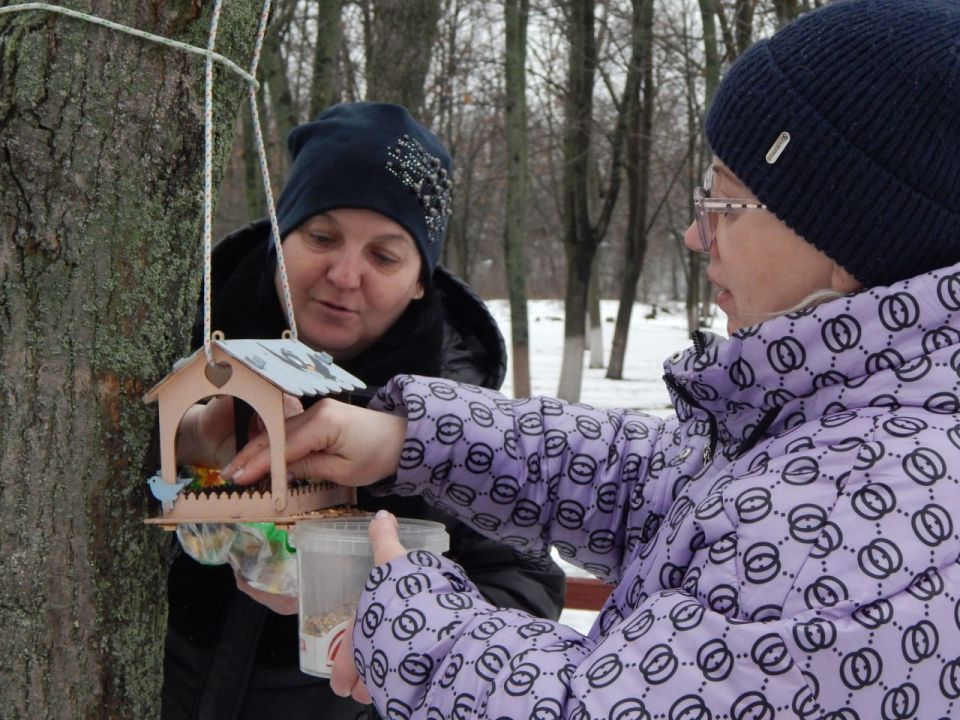 Морозные приключения в Краснодонском городском парке: праздник для души и тела Морозные приключения в Краснодонском городском парке: праздник для души и тела