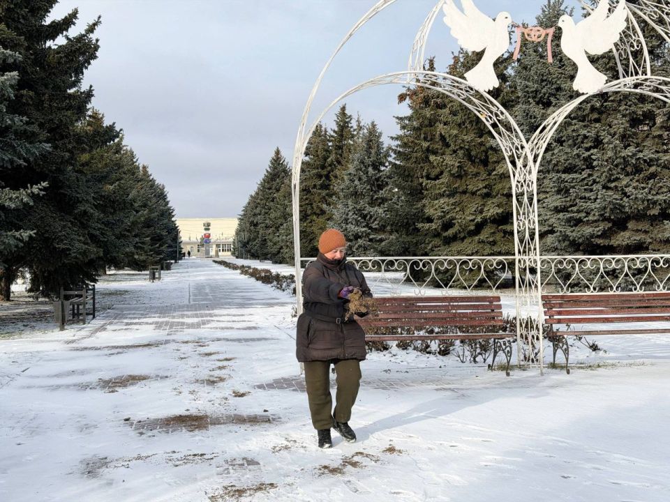 Сергей Колягин: В воскресный день продолжилась борьба с гололедицей и выпавшими осадками Сергей Колягин: В воскресный день продолжилась борьба с гололедицей и выпавшими осадками